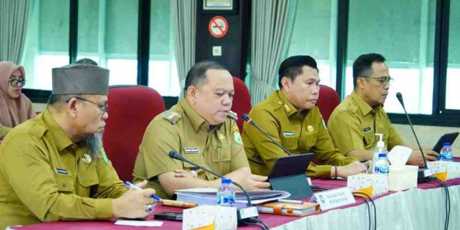 Pj Bupati Muba, Sandi Fahlepi saat paparan di Kemendagri, Senin (29/7/2024). Foto: Kominfo Muba.