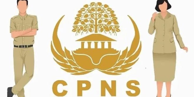 Ilustrasi CPNS. Foto: IST