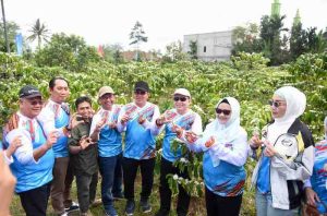 Pj Gubernur Sumsel, Eelen Setaiadi saat berada di tengah kebun kopi di Danau Ranau, OKU Selatan, Jumat (9/8/2024). Foto: Humas Pemprov Sumsel.