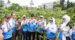 Pj Gubernur Sumsel, Eelen Setaiadi saat berada di tengah kebun kopi di Danau Ranau, OKU Selatan, Jumat (9/8/2024). Foto: Humas Pemprov Sumsel.