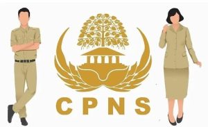 Ilustrasi CPNS. Foto: IST