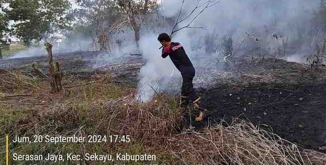 Petugas Damkar Muba berjibaku padamkan api yang melahap lahan kosong di Kota Sekayu, MInggu (22/9/2024). Foto: Dok Dinas Pol PP dan Damkar MUba.
