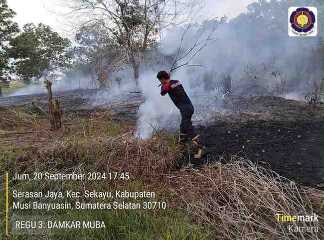 Petugas Damkar Muba berjibaku padamkan api yang melahap lahan kosong di Kota Sekayu, MInggu (22/9/2024). Foto: Dok Dinas Pol PP dan Damkar MUba.