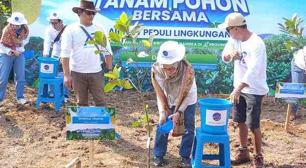 Direktur Utama AirNav Indonesia, Polana B. Pramesti saat penanaman 1.000 pohon nangka di Desa Burai, Selasa (3/9/2024). Foto: Sumselheadline/Pitria.