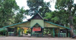 Gerbang hutan wisata punti kayu Palembang. Foto: Dok Sumselheadline.