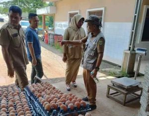 Produk telur ayam asal Banyuasin, yang sudah menembus pasar nasional. Foto: IST