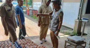Produk telur ayam asal Banyuasin, yang sudah menembus pasar nasional. Foto: IST