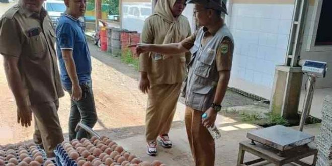 Produk telur ayam asal Banyuasin, yang sudah menembus pasar nasional. Foto: IST