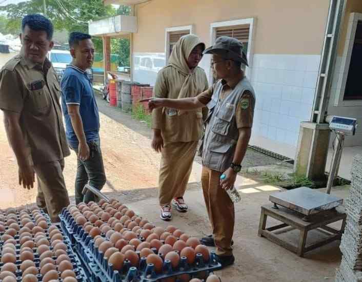 Produk telur ayam asal Banyuasin, yang sudah menembus pasar nasional. Foto: IST