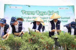 Pj Gubernur Sumsel, Eelen Setiadi bersama pejabat BI Sumsel, melakukan panen raya cabai program GSMP Gooes to School di SMKN 1 Gelumbang, Rabu (23/10/2024). Foto: Humas Pemprov Sumsel.