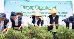Pj Gubernur Sumsel, Eelen Setiadi bersama pejabat BI Sumsel, melakukan panen raya cabai program GSMP Gooes to School di SMKN 1 Gelumbang, Rabu (23/10/2024). Foto: Humas Pemprov Sumsel.