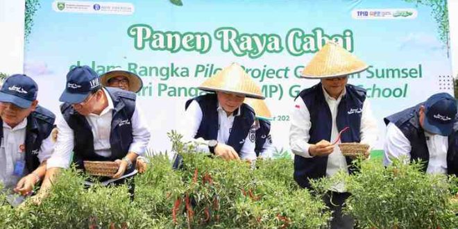 Pj Gubernur Sumsel, Eelen Setiadi bersama pejabat BI Sumsel, melakukan panen raya cabai program GSMP Gooes to School di SMKN 1 Gelumbang, Rabu (23/10/2024). Foto: Humas Pemprov Sumsel.