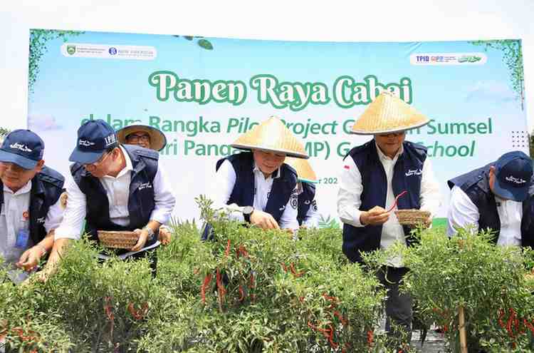 Pj Gubernur Sumsel, Eelen Setiadi bersama pejabat BI Sumsel, melakukan panen raya cabai program GSMP Gooes to School di SMKN 1 Gelumbang, Rabu (23/10/2024). Foto: Humas Pemprov Sumsel.