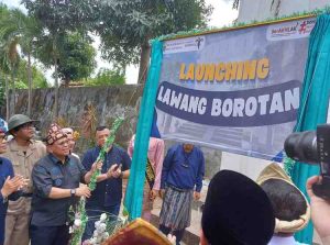 Pj Walikota Palembang, A Damenta merelaunching kembali Lawang Borotan sebagai destinasi wisata, Jumat (25/10/2024). Foto: Sumselheadline/Pitria.