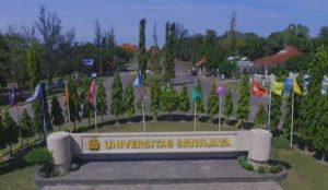 Ilustrasi gerbang Unsri, Inderelaya. Foto: IST