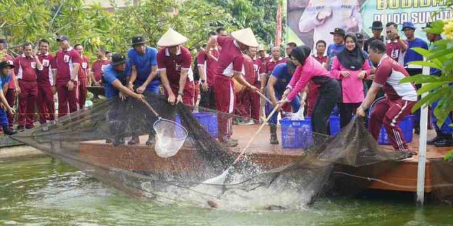 Kapolda Sumsel Irjen Pol Andi Rian R Djajadi SIK MH panen ikan di Kolam Ikan Pakri, Palembang, Minggu (17/11/2024). Foto: Humas Polda Sumsel.