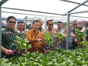 Pangdam II Sriwijaya Naudi Nurdika didampingi PJ Gubernur Sumsel Elen Setiadi, Kapolda Sumsel Andi Rian dan PJ Walikota Palembang Ucok Abdulrauf Damenta panen sayur di lahan yang disiapkan untuk menu makanan bergizi gratis, Jmat (22/11/2024). Foto: Sumselheadline/Pitria.