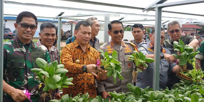Pangdam II Sriwijaya Naudi Nurdika didampingi PJ Gubernur Sumsel Elen Setiadi, Kapolda Sumsel Andi Rian dan PJ Walikota Palembang Ucok Abdulrauf Damenta panen sayur di lahan yang disiapkan untuk menu makanan bergizi gratis, Jmat (22/11/2024). Foto: Sumselheadline/Pitria.