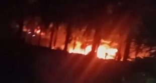Kobaran api di sebuah penyulingan minyak yang diduga ilegal, Minggu (17/11/2024) malam. Foto: IST