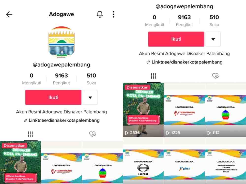 Akun TikTok Pemkot Palembang, khusus lowongan tenaga kerja. Foto: screenshot akun tiktok.