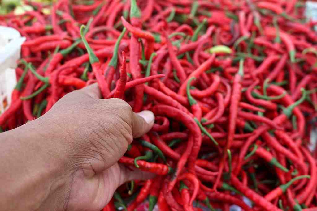 Ilustrasi cabai merah yang mengalami kenaiukan harga psaca Natal 2024 di Kota Palembang. Foto: IST