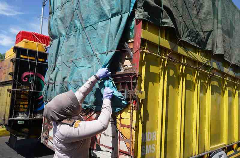 Balai Karantina Sumatera Selatan (Sumsel) melakukan Operasi Patuh Karantina digelar bersama Dinas Perhubungan Provinsi Sumatera Selatan, Koramil Sungsang, dan Polsek Sungsang, di Pelabuhan Tanjung Api-api, Rabu (11/12/2024). Foto: Dok Balai Karantina Sumsel.