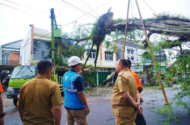 Pj Bupati Muba, Santi Pahlepi saat meninjau pohon tumbanag di Kota Sekayu, Selasa (24/12/2024). Foto: Kominfo Muba.