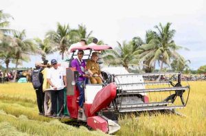 Penjabat (Pj) Gubernur Sumsel, Elen Setiadi, S.H., M.S.E mendampingi Menteri Koordinator (Menko) Bidang Pangan Zulkifli Hasan dan Wakil Menteri Dalam Negeri Bima Arya Meninjau Lahan Cetak Sawah dan Panen Raya di Desa Sri Menanti Kecamatan, Tanjung Lago Kabupaten Banyuasin, Senin (13/1/2025) pagi.  Foto: Humas Pemprov Sumsel.