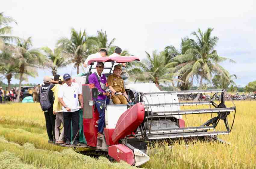 Penjabat (Pj) Gubernur Sumsel, Elen Setiadi, S.H., M.S.E mendampingi Menteri Koordinator (Menko) Bidang Pangan Zulkifli Hasan dan Wakil Menteri Dalam Negeri Bima Arya Meninjau Lahan Cetak Sawah dan Panen Raya di Desa Sri Menanti Kecamatan, Tanjung Lago Kabupaten Banyuasin, Senin (13/1/2025) pagi.  Foto: Humas Pemprov Sumsel.