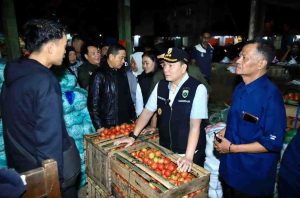 Pj Gubernur Sumsel, Elen Setiadi saat sidak ke Pasar Induk Jakabaring, Kamis (23/1/2025) dini hari. Foto: Humas Pemprov Sumsel.