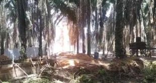 Api yang mengepul di penyulingan minyak ilegal di kawasan Keluang, Muba, Senin (27/1/2025). Foto: medsos.