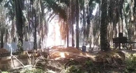 Api yang mengepul di penyulingan minyak ilegal di kawasan Keluang, Muba, Senin (27/1/2025). Foto: medsos.