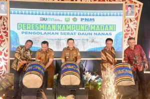 Penjabat Gubernur Sumatera Selatan Elen Setiadi, S.H., M.S.E meresmikan kampung Madani pengolahan serat daun nanas di Desa Tanjung Bunut, Kecamatan Belida Darat, Kabupaten Muara Enim,  Selasa (4/2/2025) pagi. Foto: Humas Pemprov Sumsel.