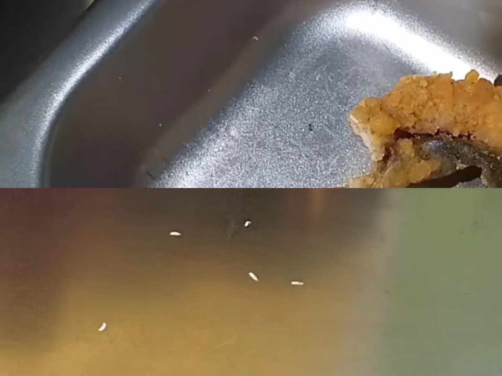 Benda seperti ulat putih yang ditemukan di menu makan bergizi gratis di sebuah SDN di Empat Lawang. Foto: screenshot medsos.