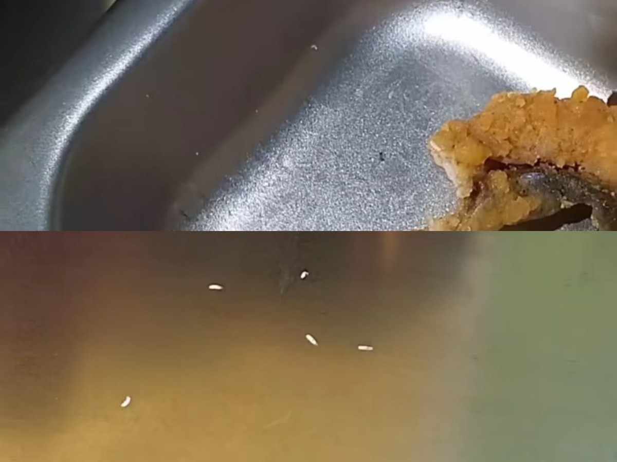 Benda seperti ulat putih yang ditemukan di menu makan bergizi gratis di sebuah SDN di Empat Lawang. Foto: screenshot medsos.