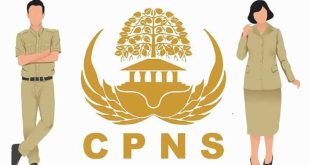 Ilustrasi CPNS. Foto: IST