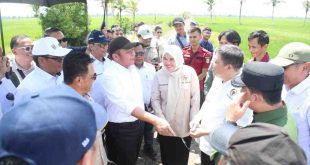 Gubernur Sumsl Herman Deru berdikusi dengan anggota Komisi IV DPR RI saat kunjungan ke Desa Srimenanti Kecamatan Tanjung Lago Kabupaten Banyuasin. Foto: Humas Pemprov Sumsel.