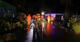 Para petugas gabungan, Rabu (23/4/2025) malam mengevakuasi pohon tumbang di Soak Baru Kecamatan Sekayu. Foto: Dok BPBD Muba.