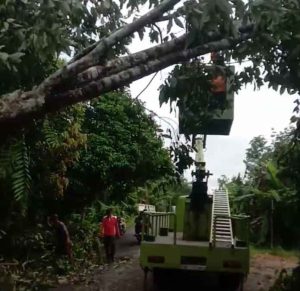 Tim gabungan membersihkan pohon tumbang yang menghadang jalan raya di Kota Sekayu, Jumat (11/4/2025) malam. Foto: Kominfo Muba.