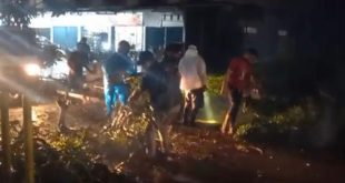 Tim BPBD Muba langsung datang membersihkana pohon tumbang di Talang Jawe, Sekayu, Senin (14/4/2025) malam. Foto: Dok BPBD.