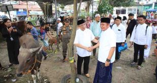 Gubernur Sumsel, Hermen Deru meninjau pelaksanaan pemotongan hewan kurban di Bukit, JUmat (6/6/2025) sore. Foto: Humas Pemprov Sumsel.