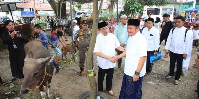 Gubernur Sumsel, Hermen Deru meninjau pelaksanaan pemotongan hewan kurban di Bukit, JUmat (6/6/2025) sore. Foto: Humas Pemprov Sumsel.