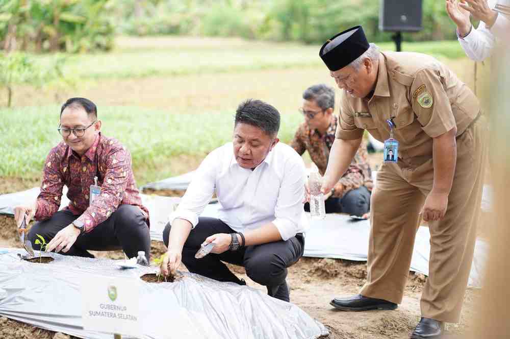 Gubernur Sumsel, Herman Deru ikut menyemai bibit tanaman pada GSMP Goes to Panti Sosial di Panti Sosial ODGJ Sako, Palembang, Foto: Humas Pemprov Sumsel.