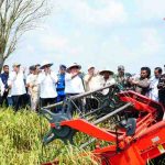Gubernur Sumsel Dr H Herman Deru memimpin panen raya Padi IP 200 di Desa Majuria, Kecamatan Karang Agung Ilir, Kabupaten Banyuasin, Jumat (25/7/2025). Foto: Humas Pemprov Sumsel.