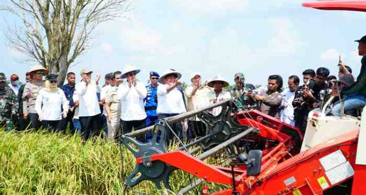 Gubernur Sumsel Dr H Herman Deru memimpin panen raya Padi IP 200 di Desa Majuria, Kecamatan Karang Agung Ilir, Kabupaten Banyuasin, Jumat (25/7/2025). Foto: Humas Pemprov Sumsel.