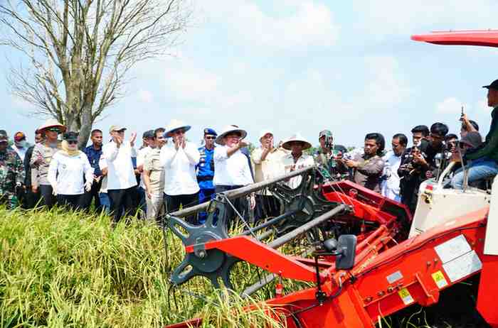 Gubernur Sumsel Dr H Herman Deru memimpin panen raya Padi IP 200 di Desa Majuria, Kecamatan Karang Agung Ilir, Kabupaten Banyuasin, Jumat (25/7/2025). Foto: Humas Pemprov Sumsel.