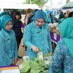 Staf Ahli TP PKK Sumsel, Lidyawati Cik Ujang melakukan kunjungan kerja ke Desa Sumber Makmur, Kecamatan Muara Padang, Banyuasin, Senin (29/9/2025). Foto: Humas Pemprov Sumsel.