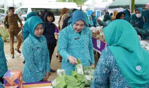 Staf Ahli TP PKK Sumsel, Lidyawati Cik Ujang melakukan kunjungan kerja ke Desa Sumber Makmur, Kecamatan Muara Padang, Banyuasin, Senin (29/9/2025). Foto: Humas Pemprov Sumsel.