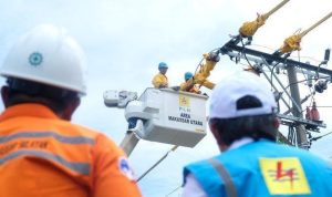 Perbaikan jaringan listrik PLN. Foto: Dok PLN
