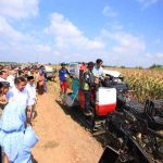 Gubernur Sumsel, Hermen Deru mendampingi Wapres Gibran panen raya jagung di Desa Mulia Sari, Kecamatan Tanjung Lago, Banyuasin, Kamis (25/9/2025). Foto: Humas Pemprov Sumsel.